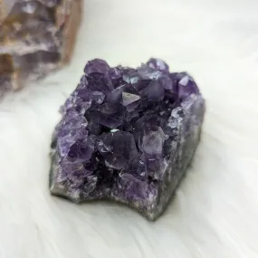 Amethyst Cluster ~ Lustrious Purple Sparkle!