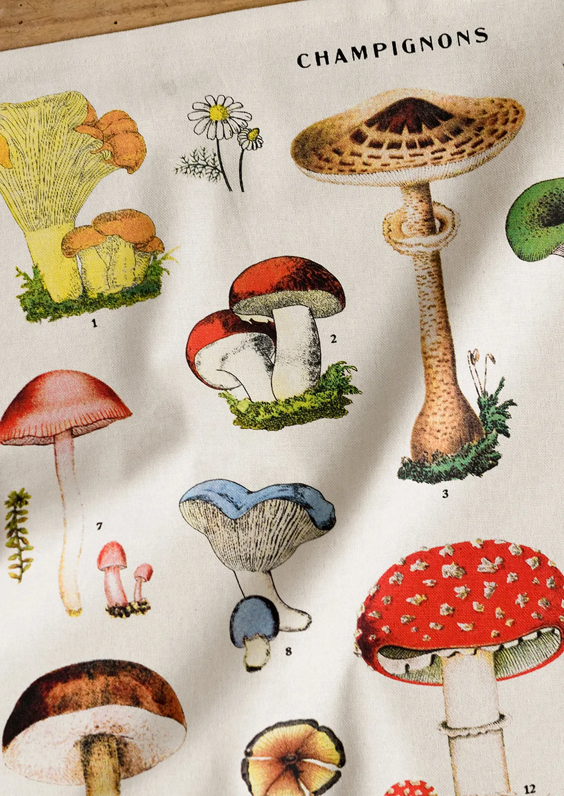 Champignons Napkin Set