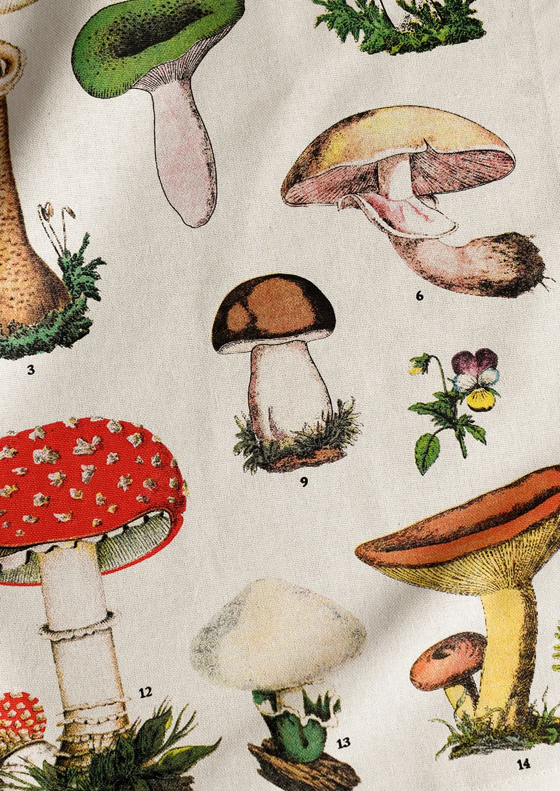 Champignons Napkin Set