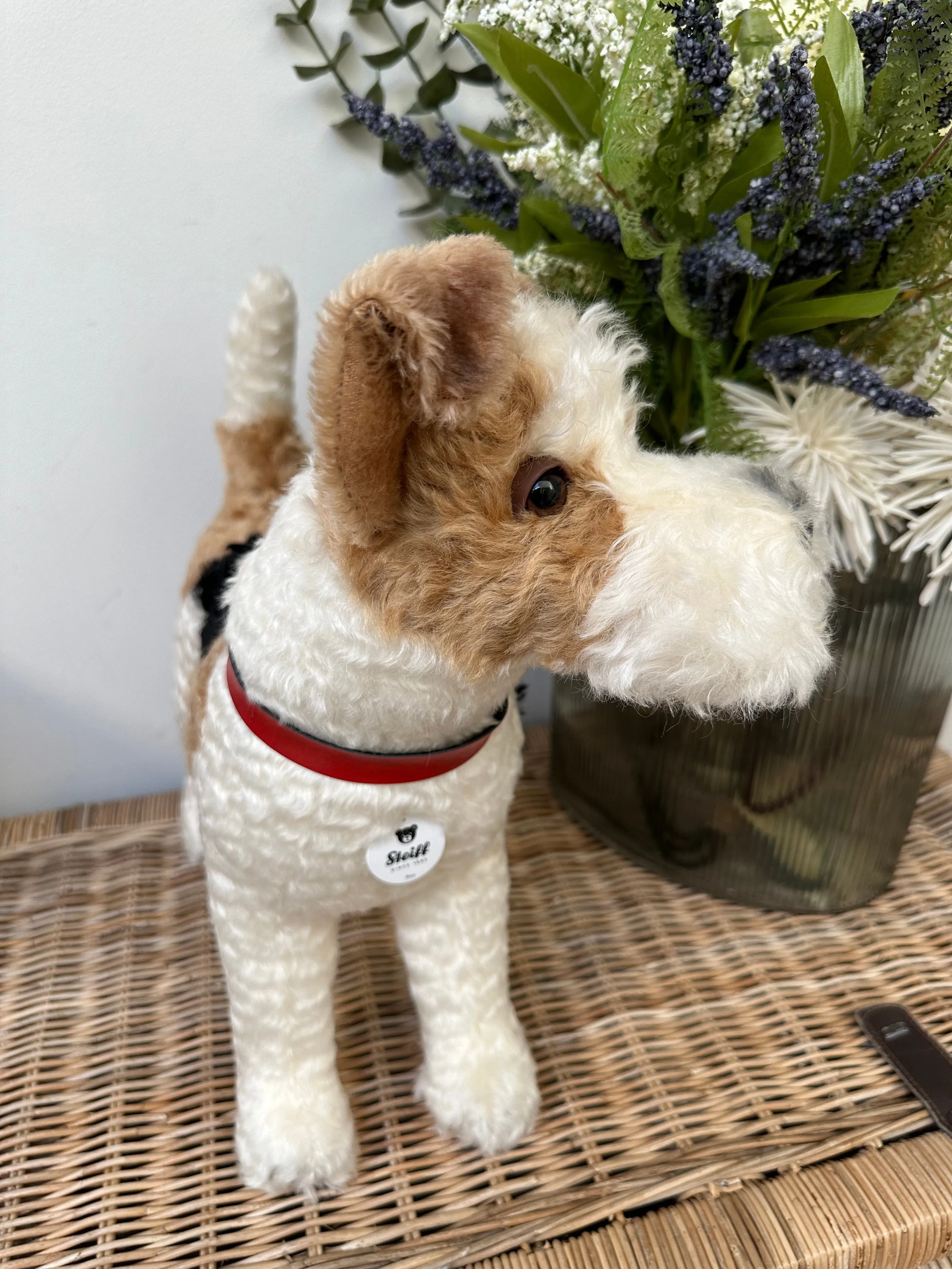 Foxy Fox Terrier Steiff  Mohair Collectable Puppy Dog