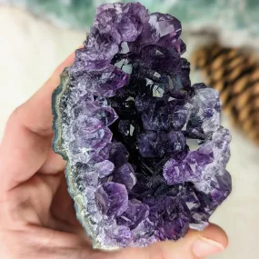 Healing Gemmy and Dark Amethyst Cluster ~ Amazing Sparkle and Shimmer!