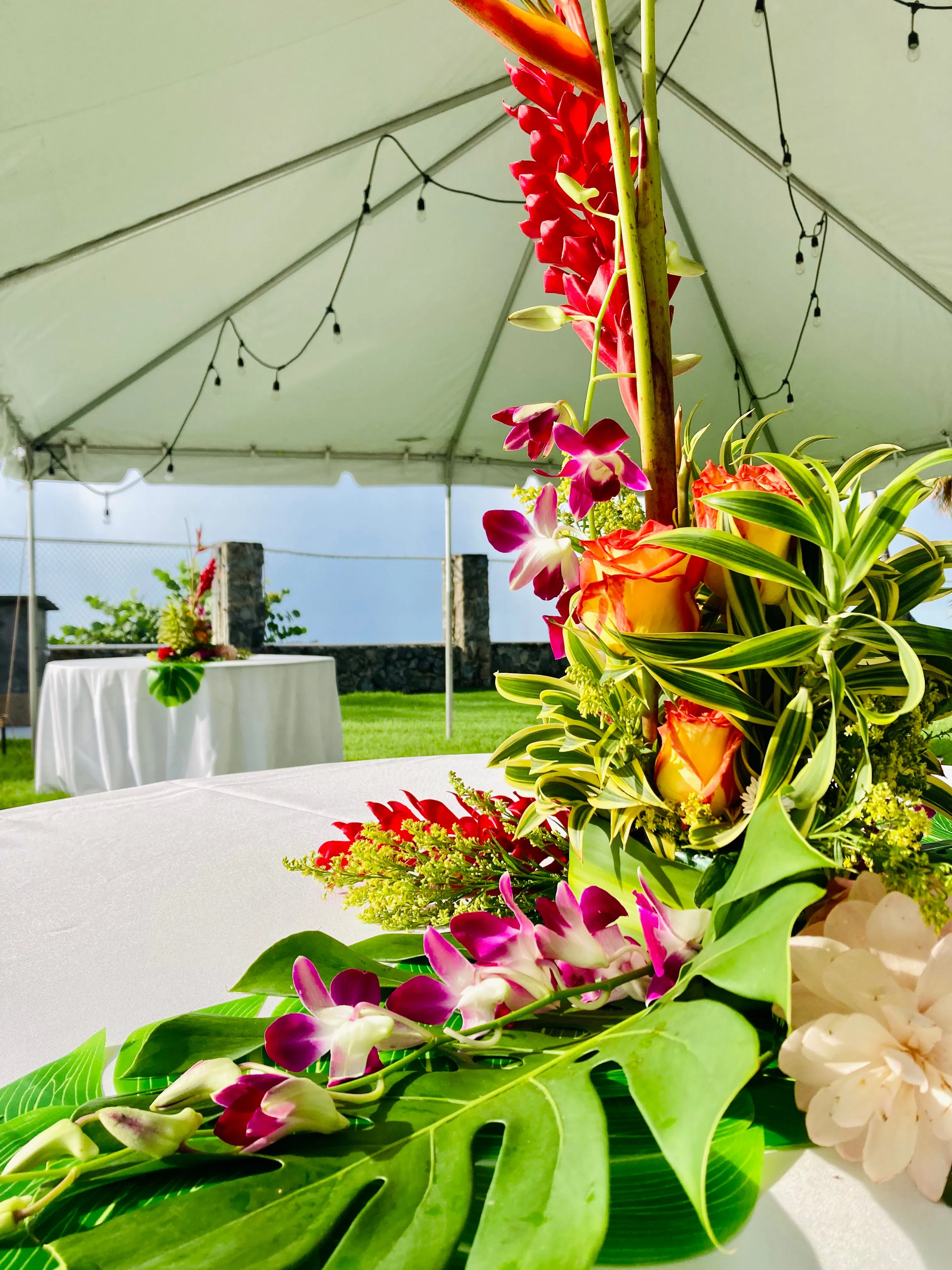 Tropical Table Arrangements