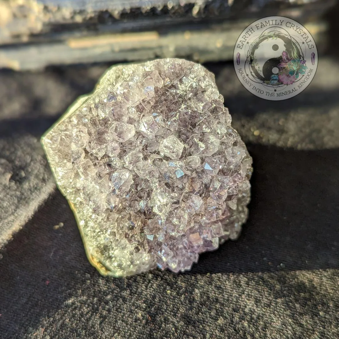 Uruguay Amethyst Geode - Small but Mighty