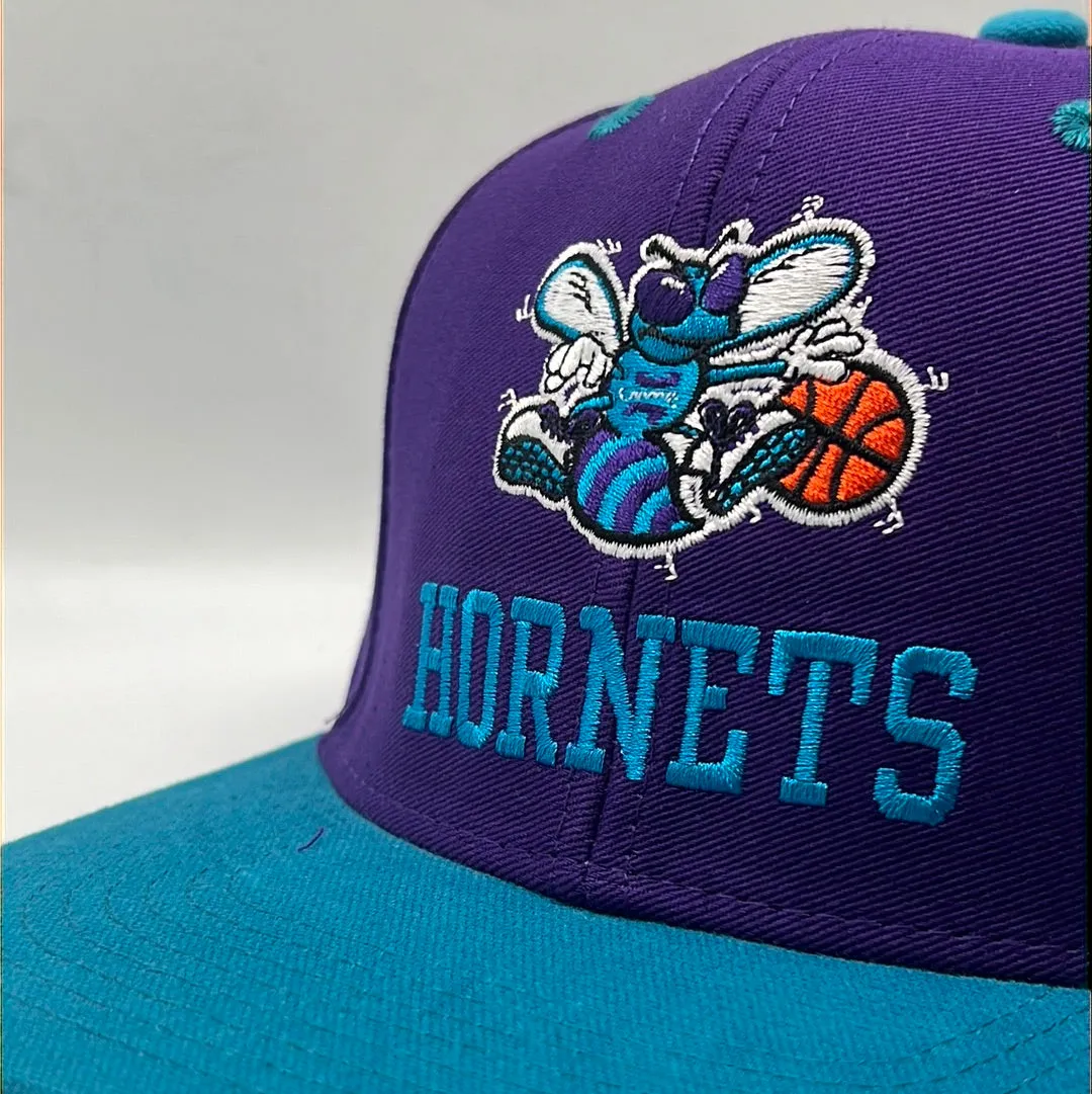 Vintage Charlotte Hornets Adidas Hardwood Classics Purple/Teal SnapBack